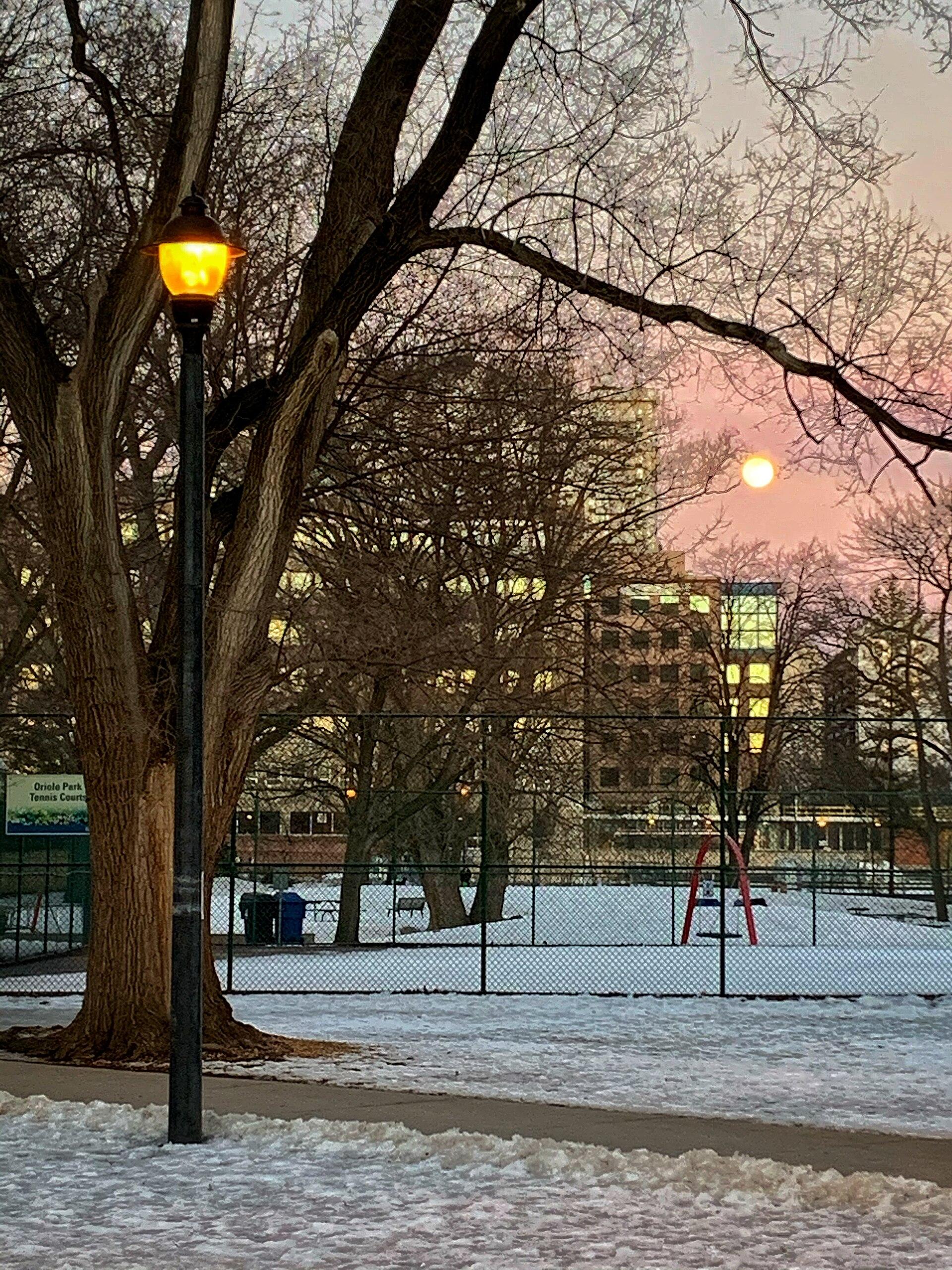 Oriole Park photo 1