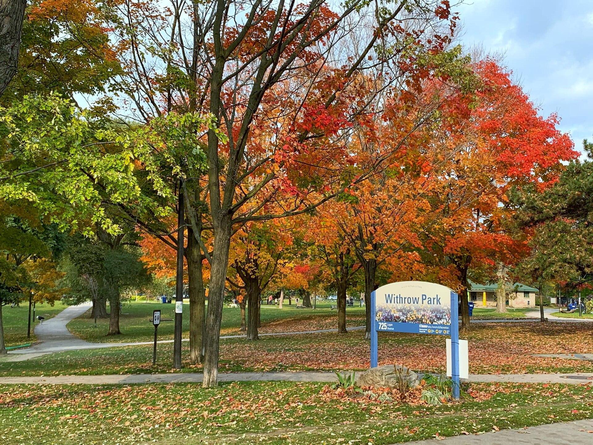 Withrow Park photo 1