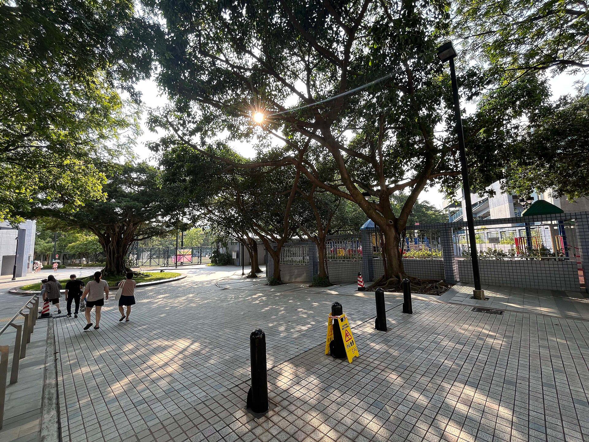 Shun Lee Tsuen Sports Centre photo 1