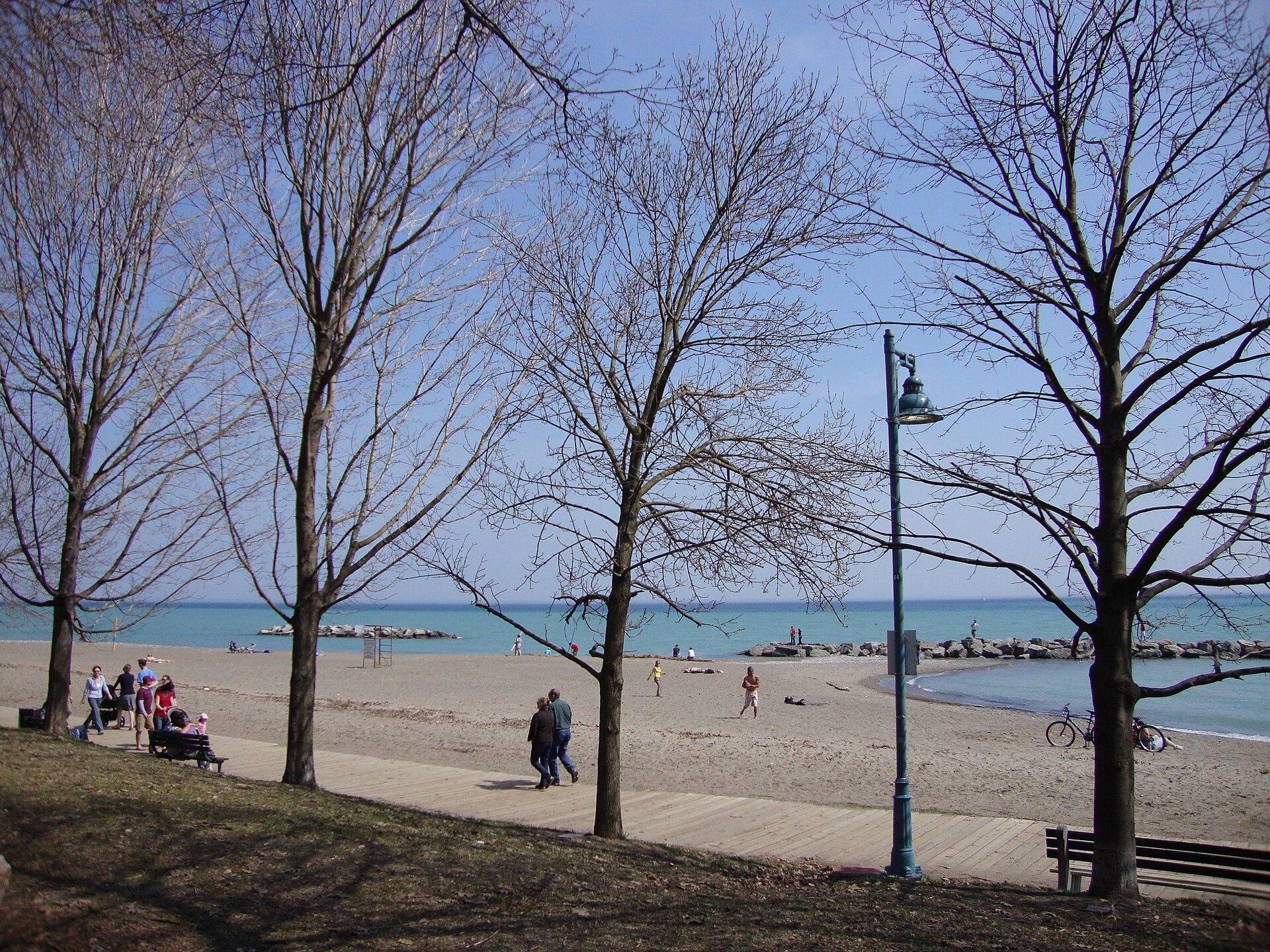 Balmy Beach Park Tables photo 1