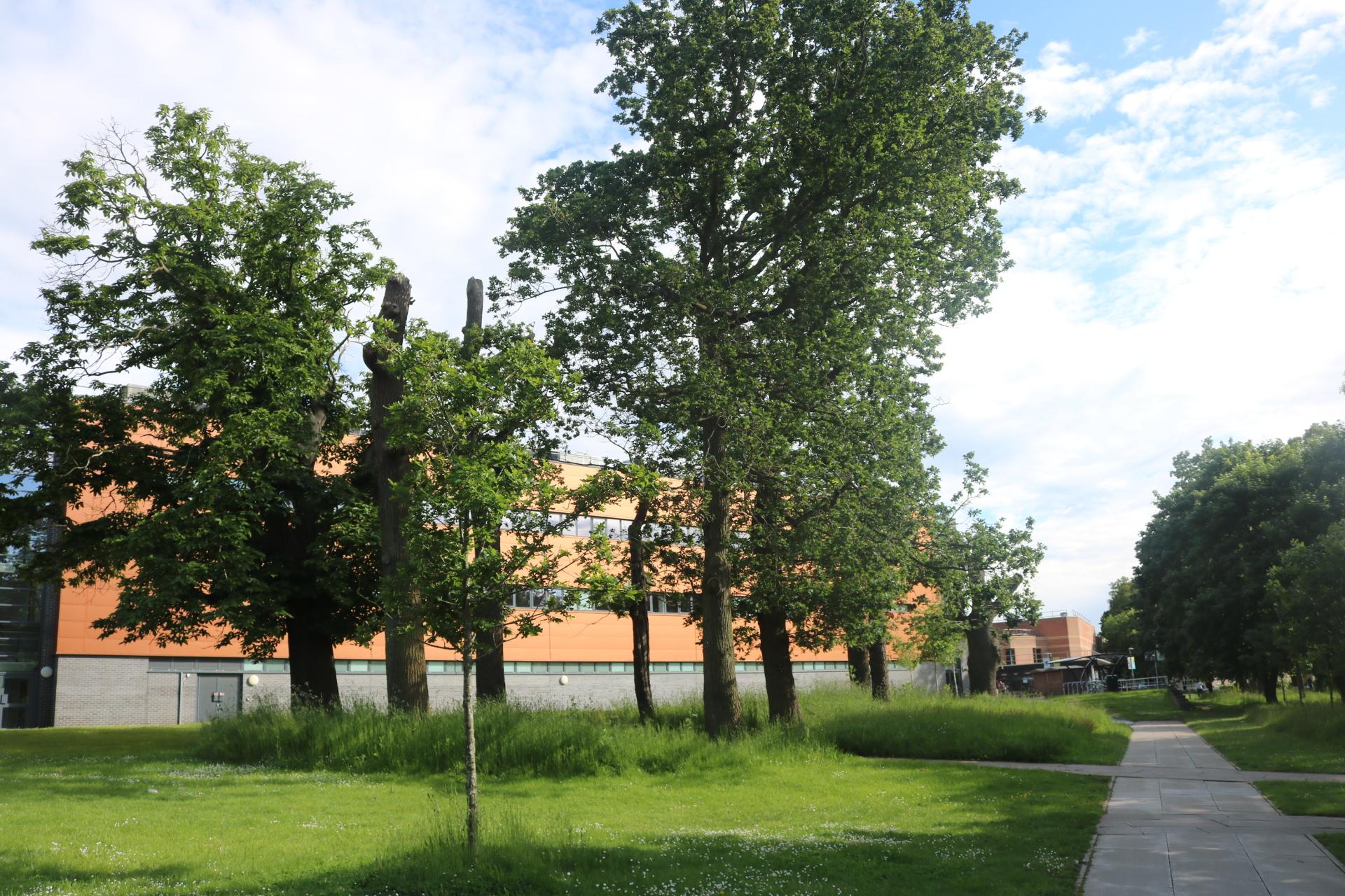 University Of Essex Sports Centre, Colchester photo 1