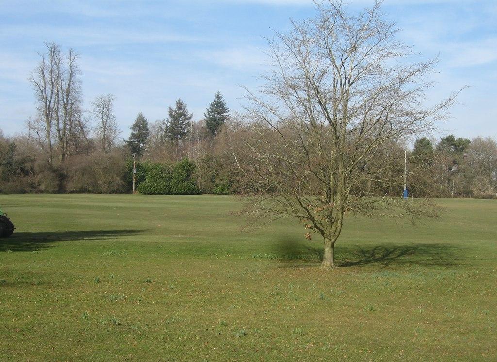 Sherfield School Tables, Sherfield On Loddon photo 1