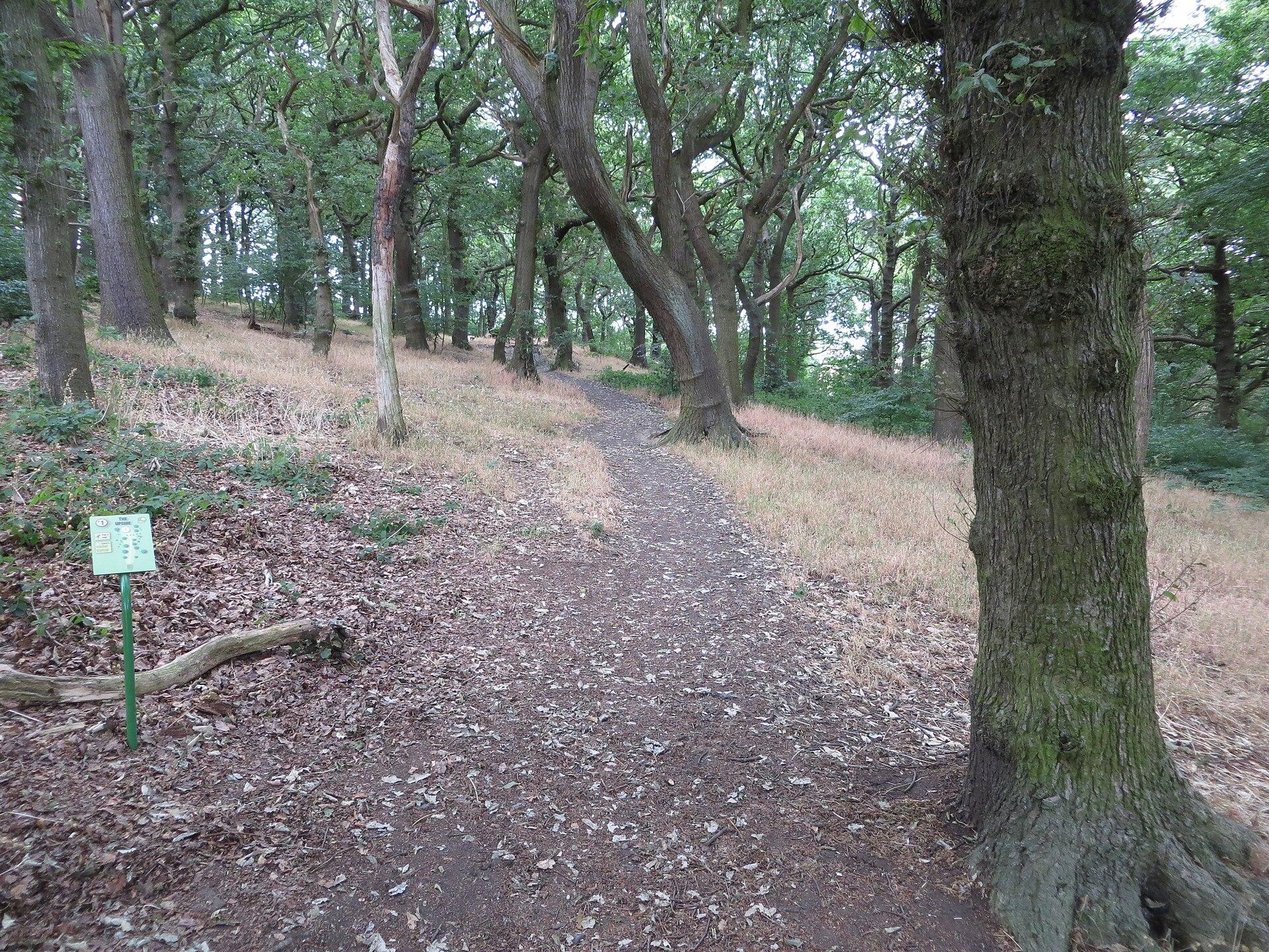 Ashenhurst Recreation Ground, Huddersfield photo 1