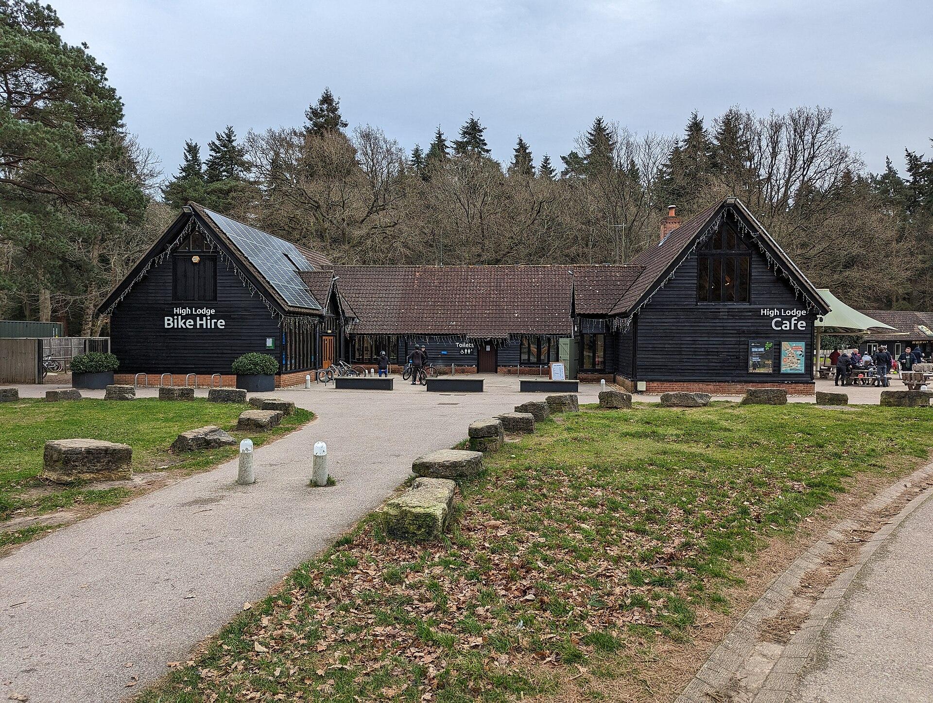 Thetford Forest Park photo 1
